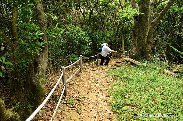 忠義山步道 (13)