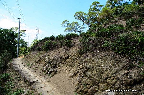 銀河洞越嶺步道 (40).JPG