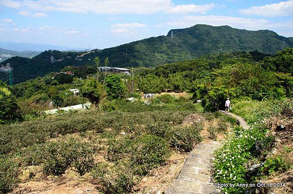 銀河洞越嶺步道 (43).JPG