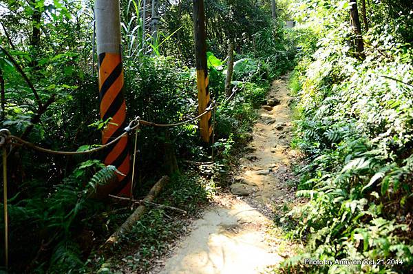 三峽鳶山步道 (11).jpg