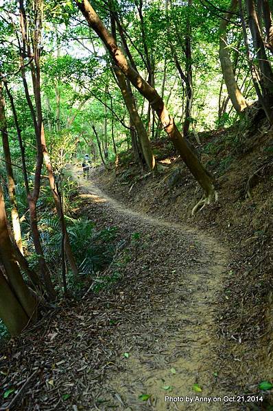 三峽鳶山步道 (29).jpg