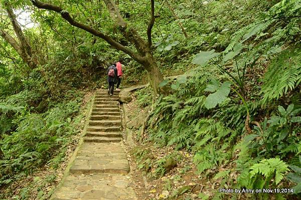 內湖白鷺鷥山親山步道 (15).jpg