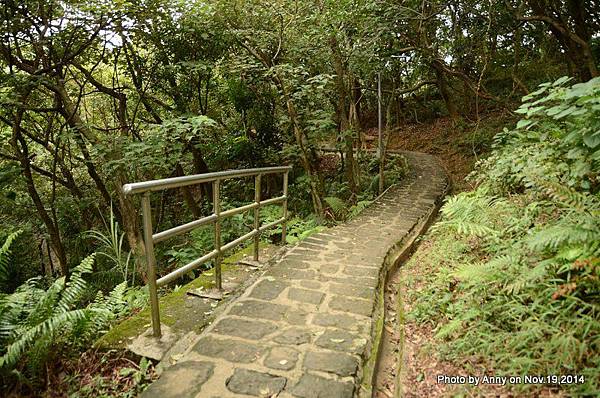 內湖白鷺鷥山親山步道 (24).jpg