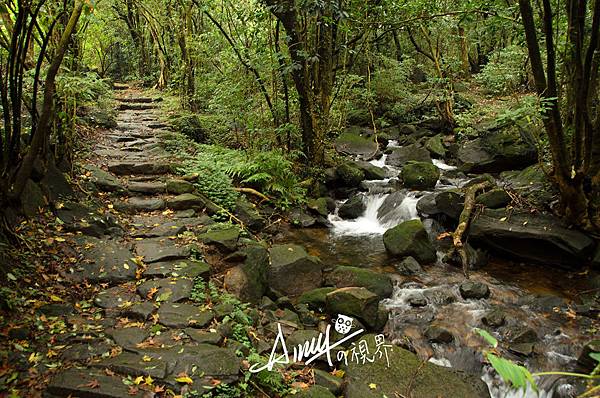 陽明山魚路古道