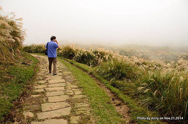 陽明山魚路古道 (3)  陽明山擎天崗