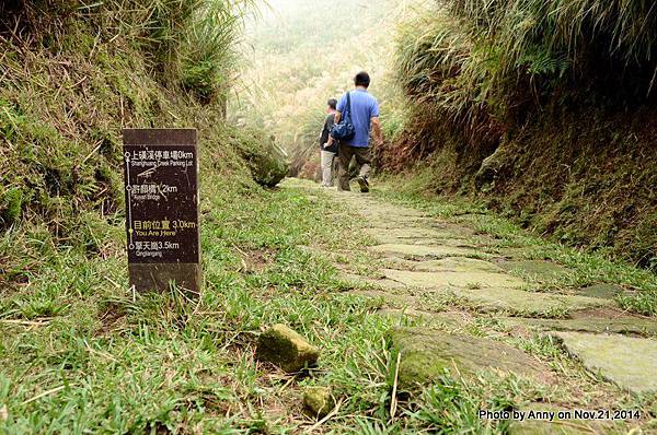 陽明山魚路古道 (7)