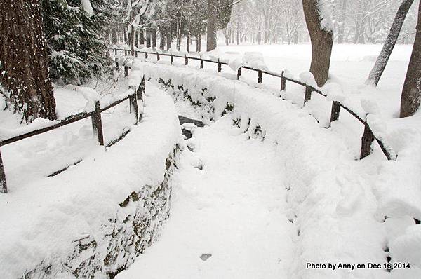 Sapporo 北海道札幌市 丹山公園