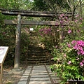 猴硐神社5.jpg