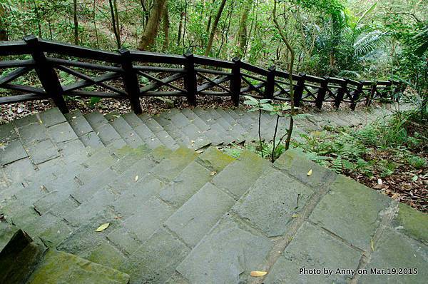 鯉魚山親山步道9.jpg