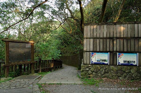 鯉魚山親山步道25.jpg