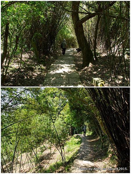 天母古道1