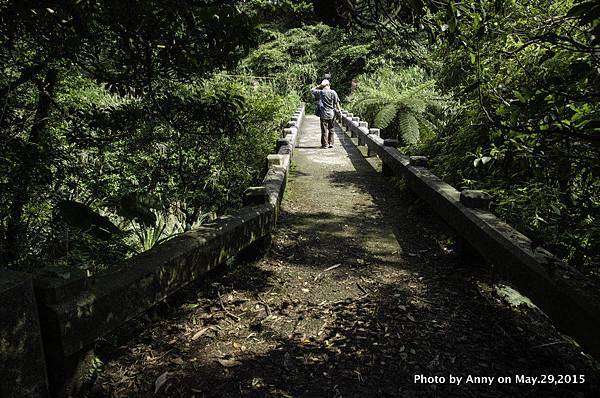 坪頂古圳步道34