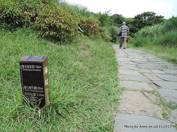 擎天崗系步道 冷擎步道11.jpg