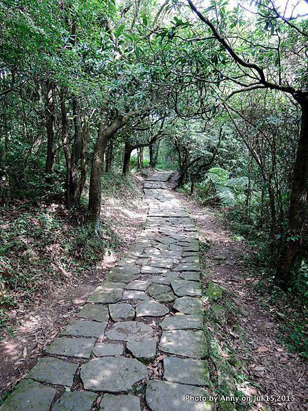 擎天崗系步道 冷擎步道12.jpg