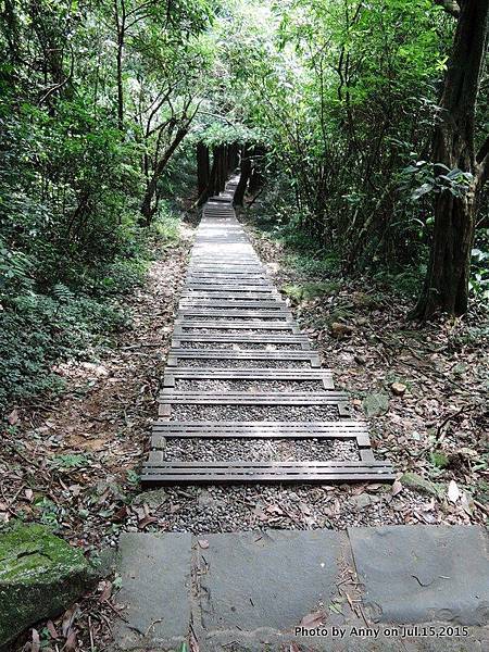 擎天崗系步道 冷擎步道17.jpg