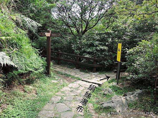 擎天崗系步道 冷擎步道22.jpg