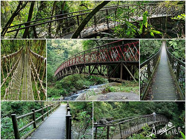 宜蘭九寮溪自然步道4.jpg 宜蘭九寮溪自然步道4.jpg