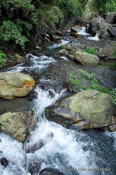 宜蘭九寮溪自然步道34.jpg