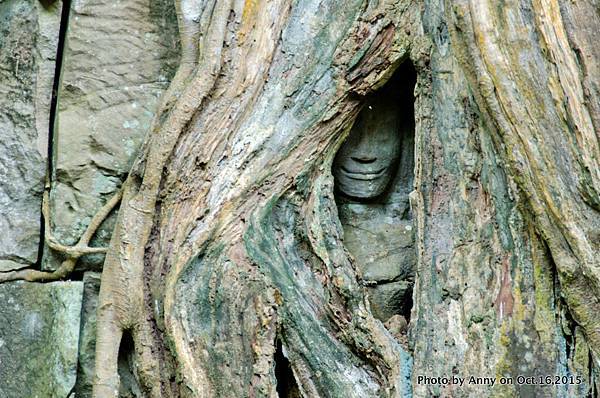 吳哥窟塔普倫寺28.jpg