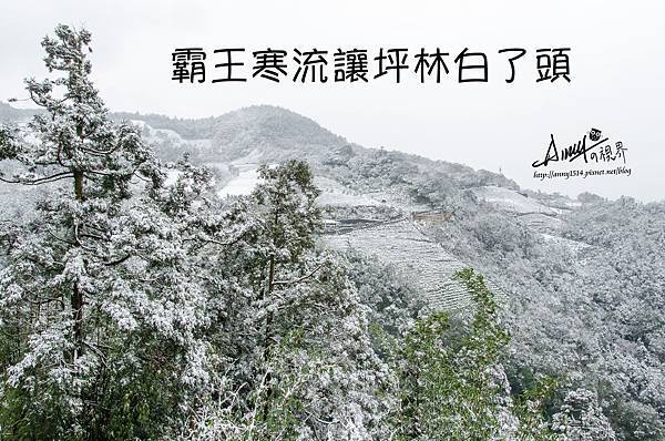台灣下雪 坪林下雪8.jpg 台灣下雪 坪林下雪8.jpg