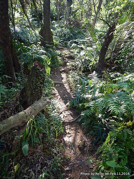 姜子寮步道13.JPG