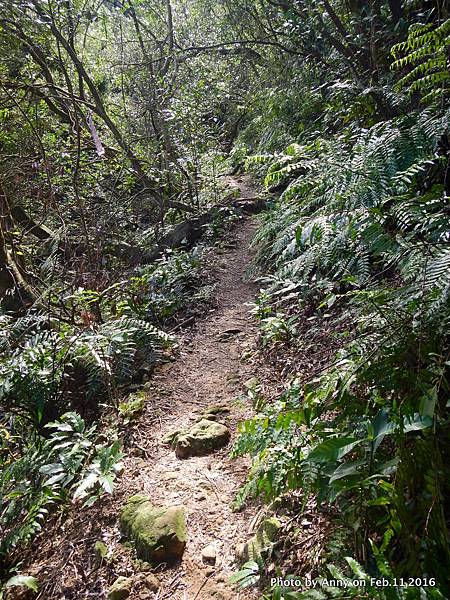 姜子寮步道14.JPG