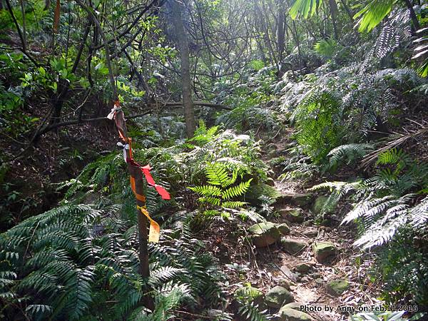 姜子寮步道18.JPG