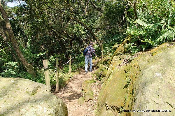 鶯歌石步道22.jpg