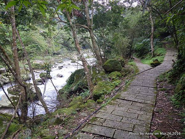 石碇烏塗溪溪畔步道10.jpg