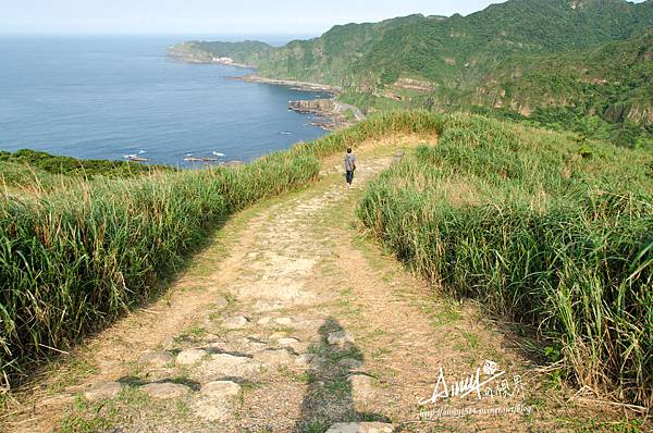南子吝步道20.jpg 南子吝步道20.jpg