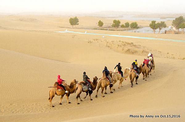 塔克拉瑪干沙漠騎駱駝12.jpg