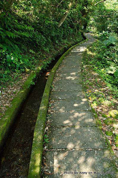 石門青山瀑布步道11.jpg