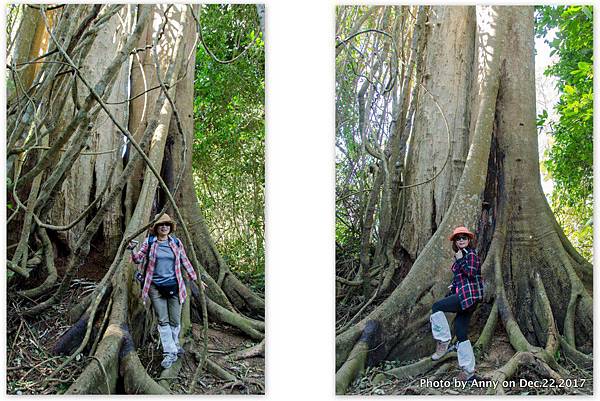 Khao Yai National Park 拷艾國家公園7.jpg