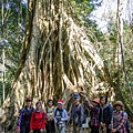 Khao Yai National Park 拷艾國家公園30.jpg