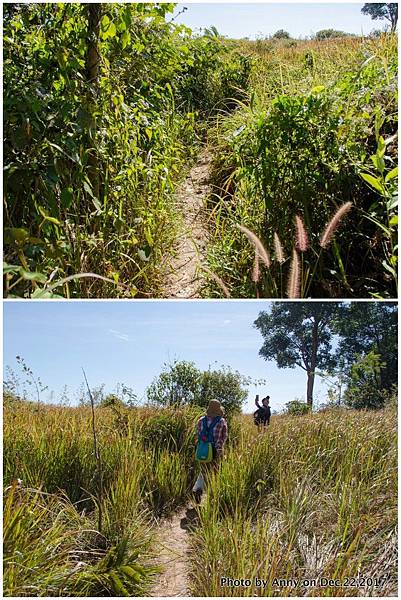 Khao Yai National Park 拷艾國家公園8.jpg