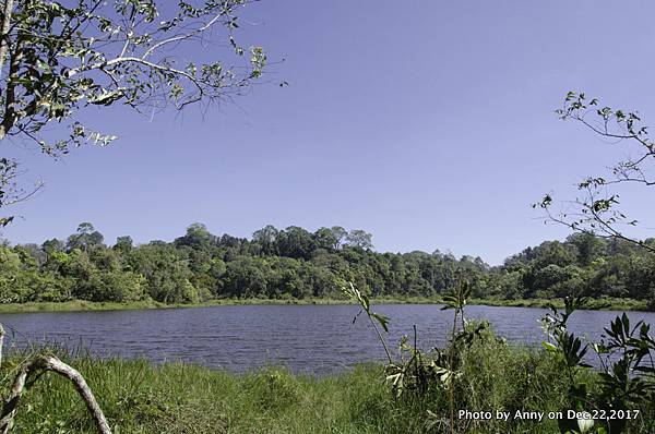 Khao Yai National Park 拷艾國家公園40.jpg