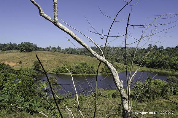 Khao Yai National Park 拷艾國家公園42.jpg