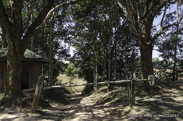 Khao Yai National Park 拷艾國家公園48.jpg