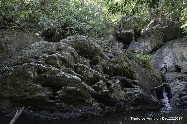 Khao Yai National Park 拷艾國家公園57.jpg