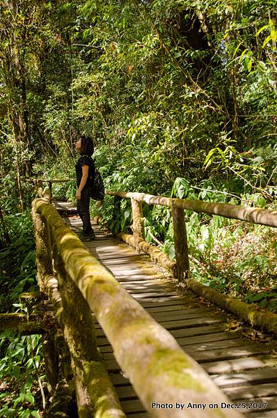 茵他儂國家公園(Ang Ka Nature Trail)