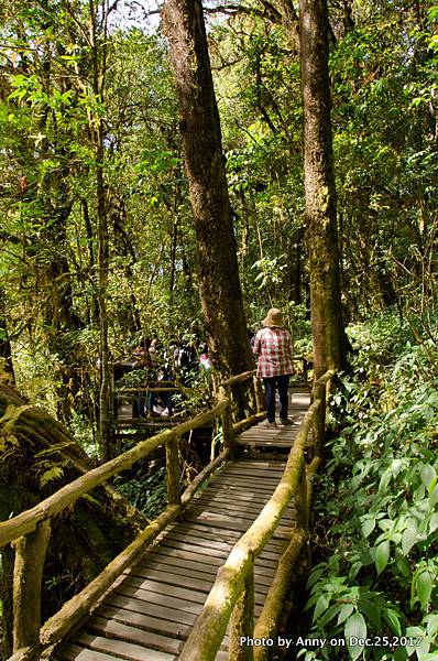 茵他儂國家公園(Ang Ka Nature Trail)