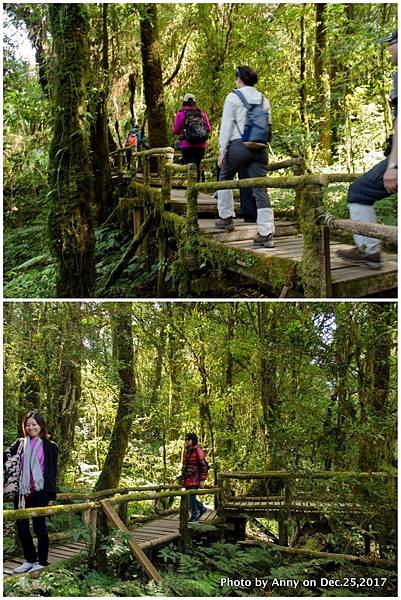 茵他儂國家公園(Ang Ka Nature Trail)