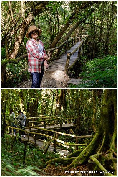 茵他儂國家公園(Ang Ka Nature Trail)