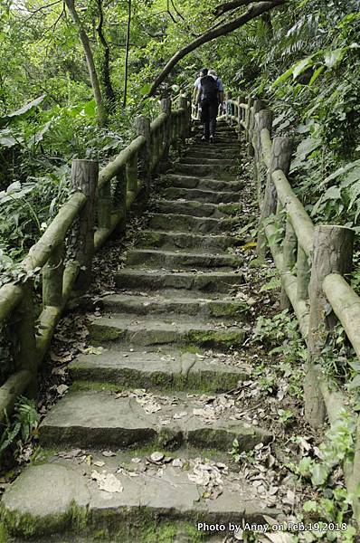 貴子坑環狀步道10.jpg