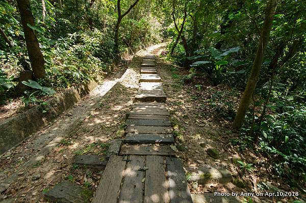 金面山環狀步道竹月寺支線14