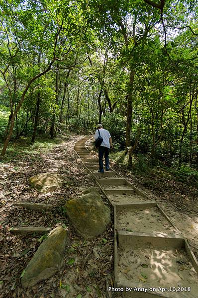 金面山環狀步道竹月寺支線17