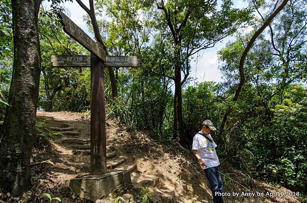 金面山環狀步道岔路34