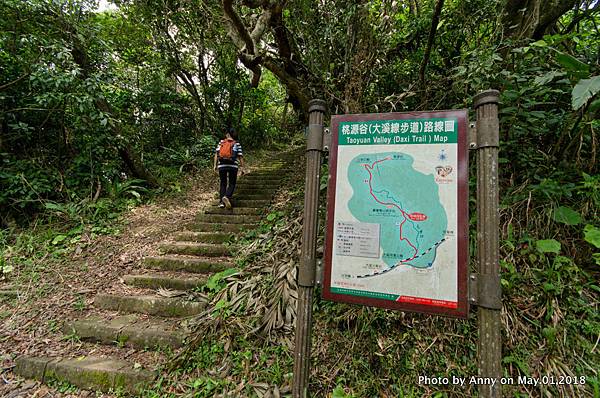 桃源谷（大溪線）步道30