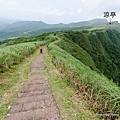 桃源谷（大溪線）步道59