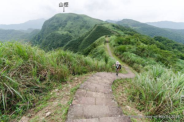 桃源谷（大溪線）步道62